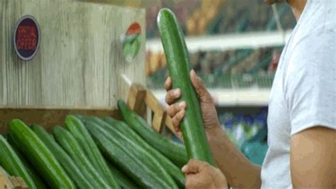 porn with a cucumber|Women Fucking Cucumbers Porn Videos .